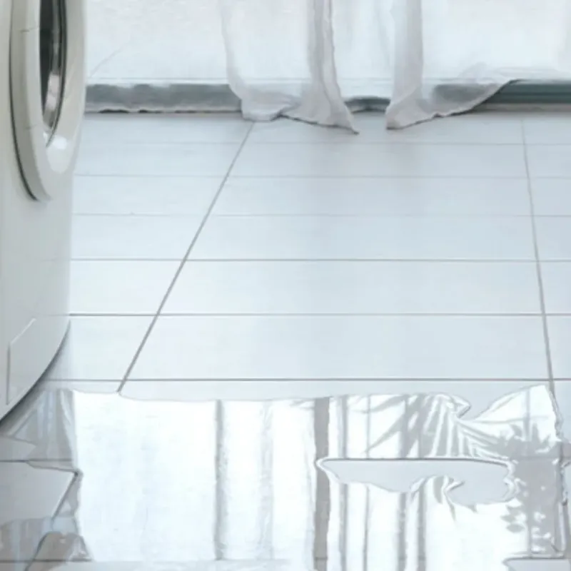 Appliance Leak Cleanup in Pelham, GA
