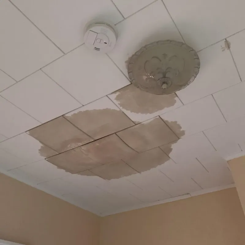 Ceiling Water Damage Repair in Pelham, GA