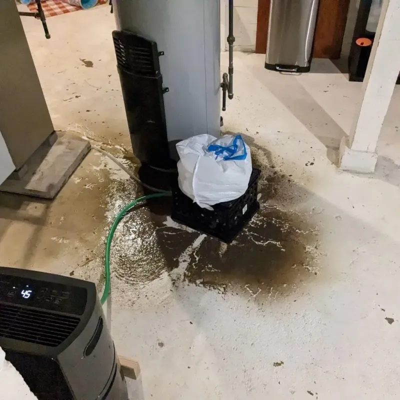 Sewage Backup Cleanup Service in Pelham, GA